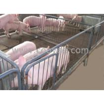 2019年畜牧業養殖產業鏈 廠商、批發、報價與飼料銷售全景洞察