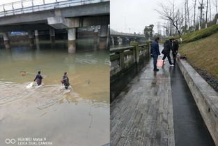 區畜牧局重拳出擊 多措并舉開展漁業“打非”專項行動，規范畜牧漁業飼料銷售市場