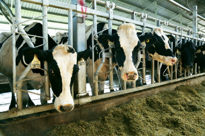 國潮崛起 畜牧漁業飼料銷售的新風口與品牌機遇
